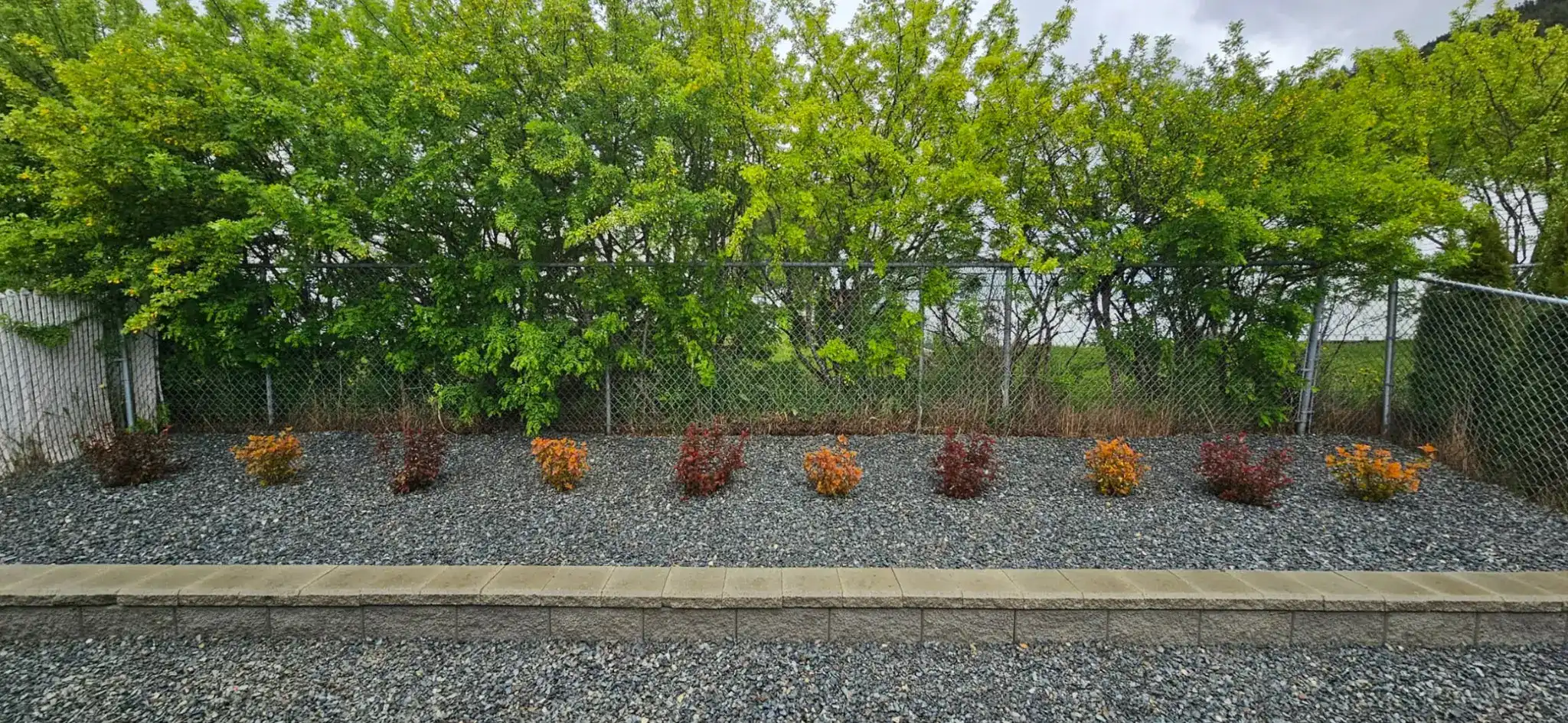 after picture of Low Maintenence Side Garden